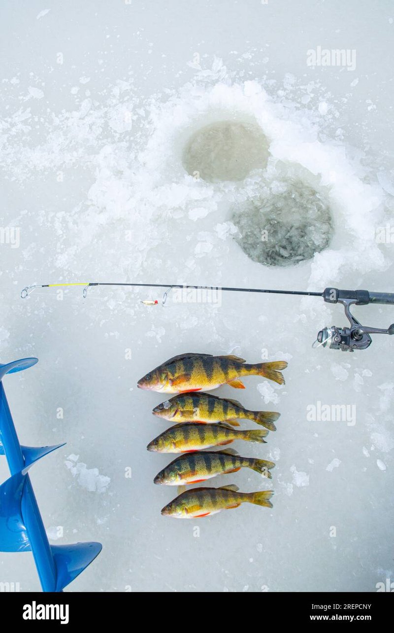 United Kigdom - ice fishing live casino